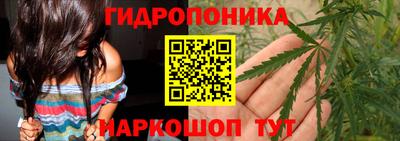 ешки Можга