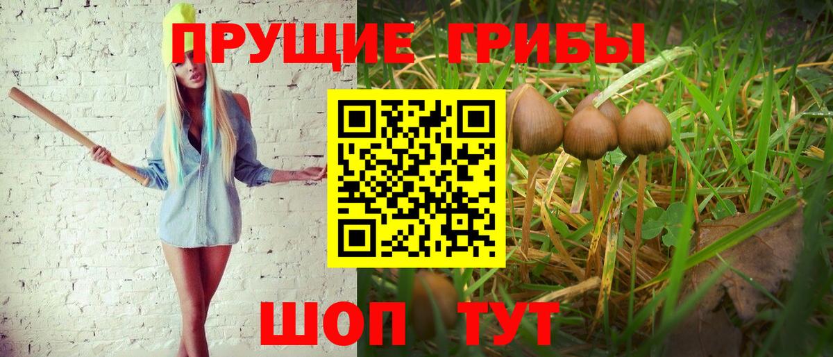 Псилоцибиновые грибы ЛСД Чусовой