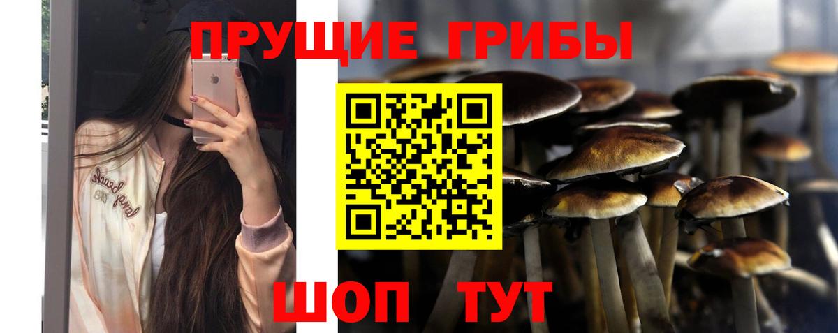 Галлюциногенные грибы мицелий  Вход с VPN  Чусовой  Псилоцибиновые грибы ЛСД 