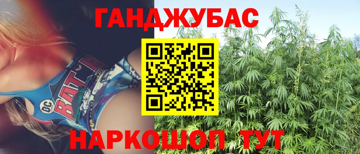 Каннабис сатива Чусовой